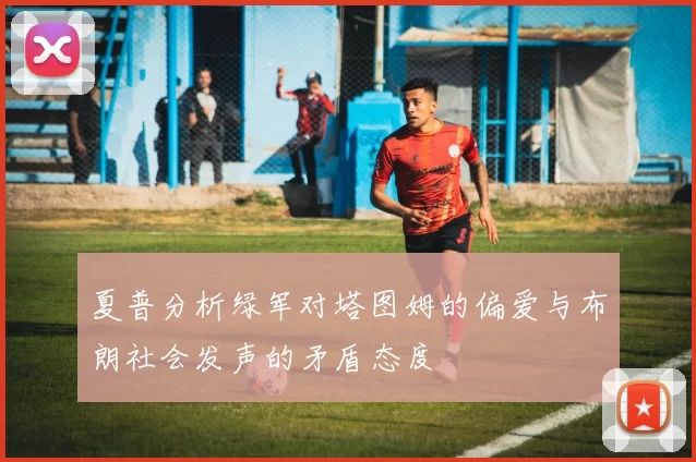 夏普分析绿军对塔图姆的偏爱与布朗社会发声的矛盾态度