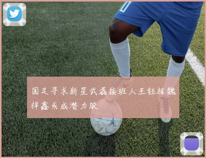 国足寻求新星武磊接班人王钰栋魏祥鑫或成潜力股